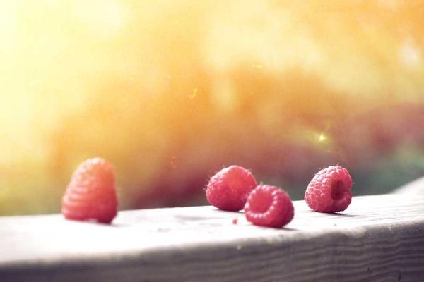 辉门正盛（长沙）活塞环有限公司